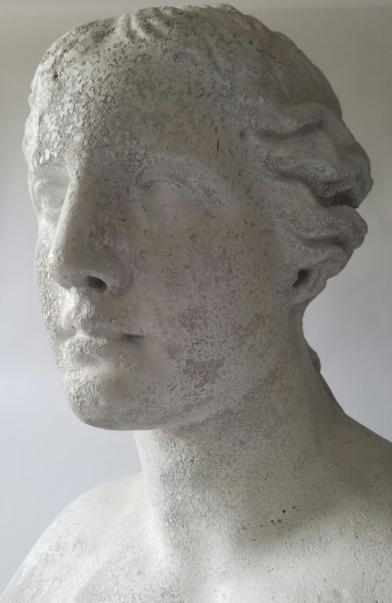 Venus De Milo Bust